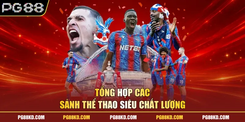 Tổng hợp các sảnh thể thao siêu chất lượng